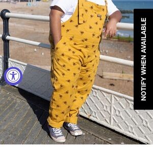 Run and Fly stretch twill bee overalls